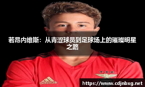 若昂内维斯：从青涩球员到足球场上的璀璨明星之路