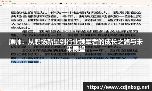 原帅：从职场新星到行业领军者的成长之路与未来展望