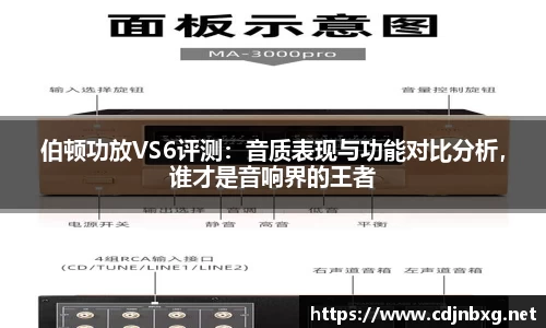 伯顿功放VS6评测：音质表现与功能对比分析，谁才是音响界的王者