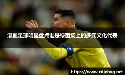 混血足球明星盘点谁是绿茵场上的多元文化代表