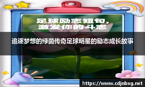 追逐梦想的绿茵传奇足球明星的励志成长故事